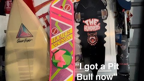 Back To The Future II - Griff