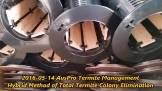 2016-05-14 Auspro Hybrid Method Of Total Termite Colony Elimination