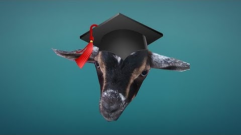 Townscaper University: ScapeGoat