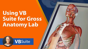 Using Visible Body Suite for Gross Anatomy Lab