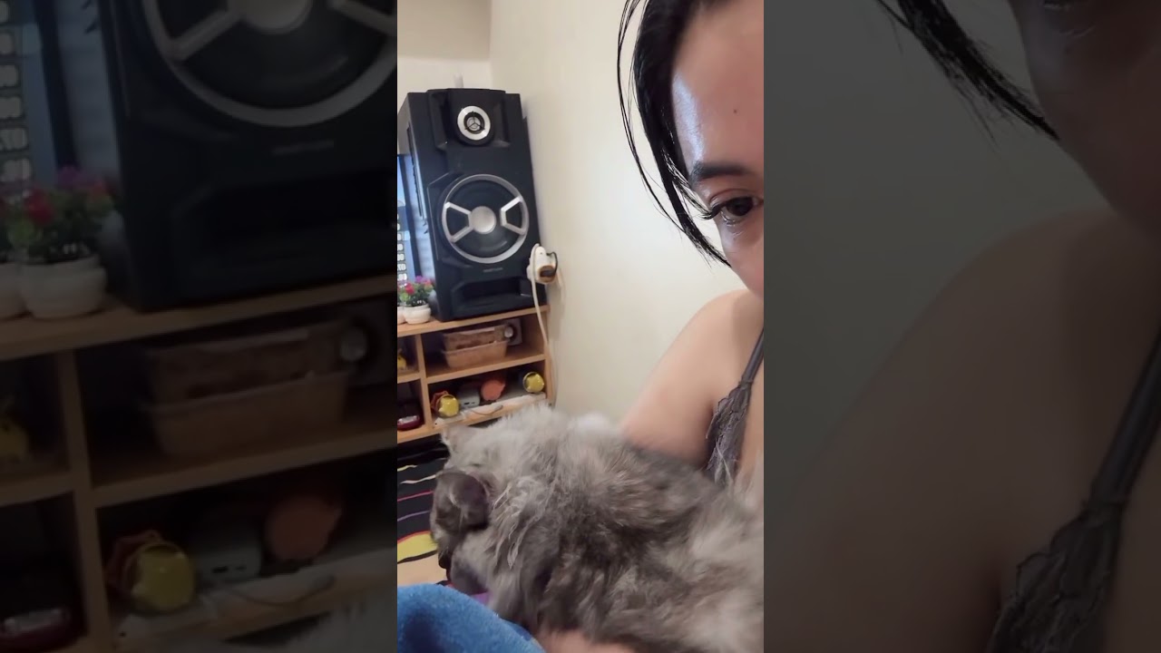 ((Live))Menang Banyak Nih Kucing Nya, Pengen Jadi Kucing Nya