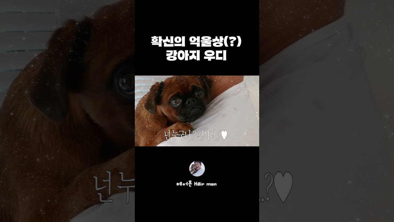 진짜 귀여워 죽겠네