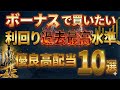 【新NISA】利回りが過去最高水準！冬のボーナスで駆け込みたい優良高配当株10選