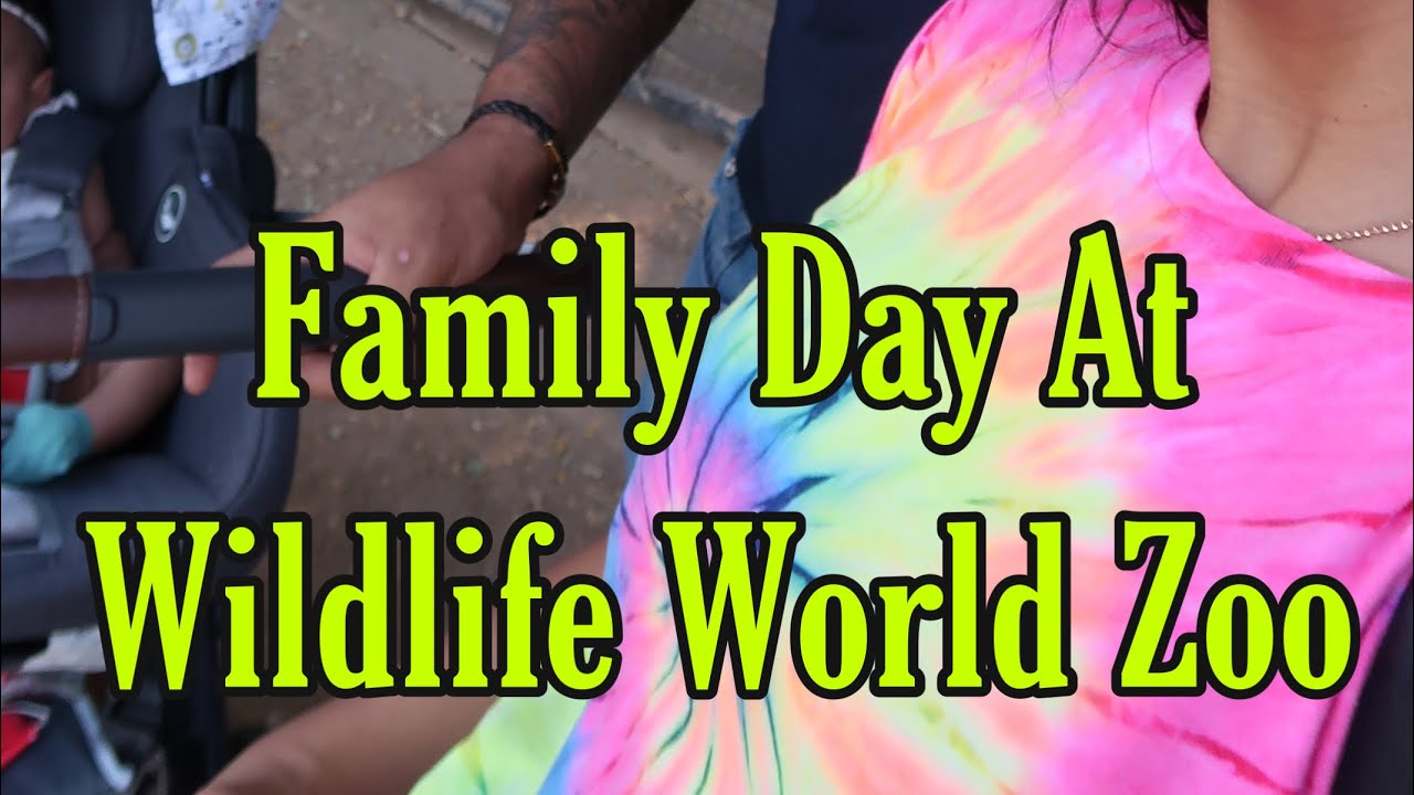 Family Day At Wildlife World Zoo 🐰 YouTube