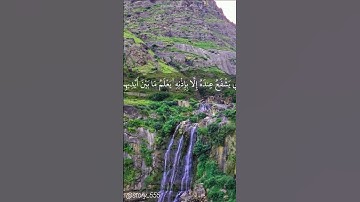 ايه الكرسي الشيخ عبدالله المطرود تلاوة خاشعة ومؤثرة