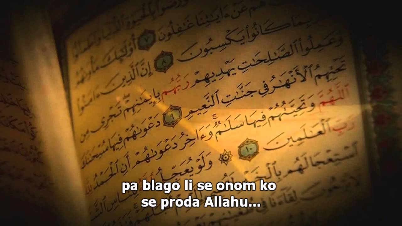 Savjeti daijama - Šejh Muhammed Mukhtar Šenkiti