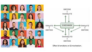 PATHOLOGY OF QI DERANGEMENT IN EMOTIONAL PROBLEMS