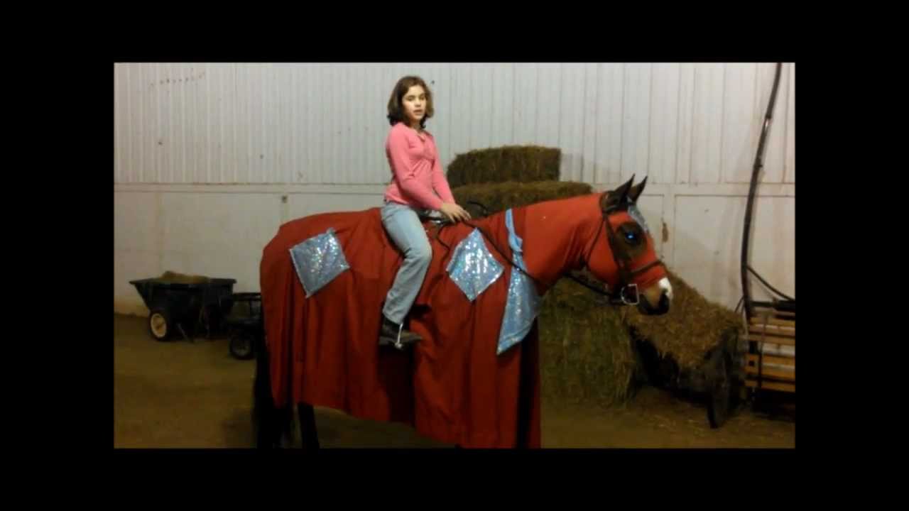 Horses in Medieval Times