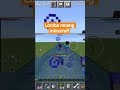 siapakh yang akan menang #minecraft #shorts