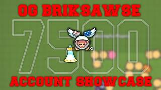 OG BRIKSAWSE ZR ACCOUNT SHOWCASE ZombsRoyale Return