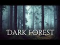 Dark forest ambience and music  sounds of dark misty forest with ambient music