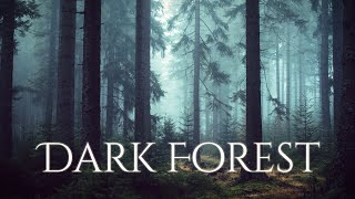 DARK FOREST Ambience and Music - sounds of dark misty forest with ambient music screenshot 5