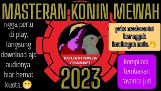 MASTERAN KONIN MEWAH 2023. #masterankonin #koningacor #kolibrininja