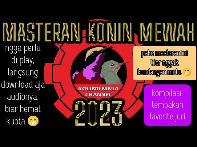 MASTERAN KONIN MEWAH 2023. #masterankonin #koningacor #kolibrininja class=