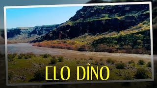 Botanın Robin Hoodu Elo Dîno