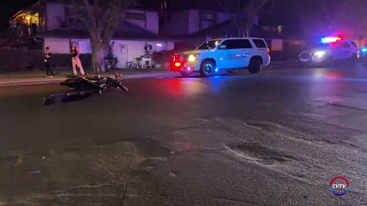 Sheriff K-9 Captures Pursuit Suspect