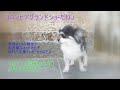 コロンビアグランドショ- 1971(昭和46)年9月6日 おもいでの長崎 いしだあゆみ