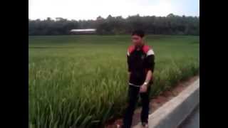 Download lagu DESA SOMAWANGI KEC MANDIRAJA KAB BANJARNEGARA DESA SOMAWANGI KEC MANDIRAJA KAB BANJARNEGARA
