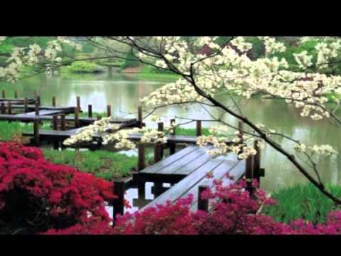 7 Taman Bunga Terindah di Dunia - YouTube