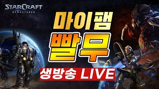 【빨무 실시간 LIVE】 스타 빨무 팀플 즐거운 방송 스타크래프트 StarCraft 24.06.06 (목)