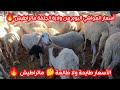 أسعار المواشي في الجزائر من ولاية الجلفة 24 جانفي 2026 تراجع محسوس في الأسعار اليوم 