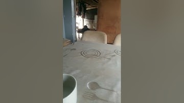 perfect loop #loop #funny #satisfyingloop #endlessloop #perfectloop