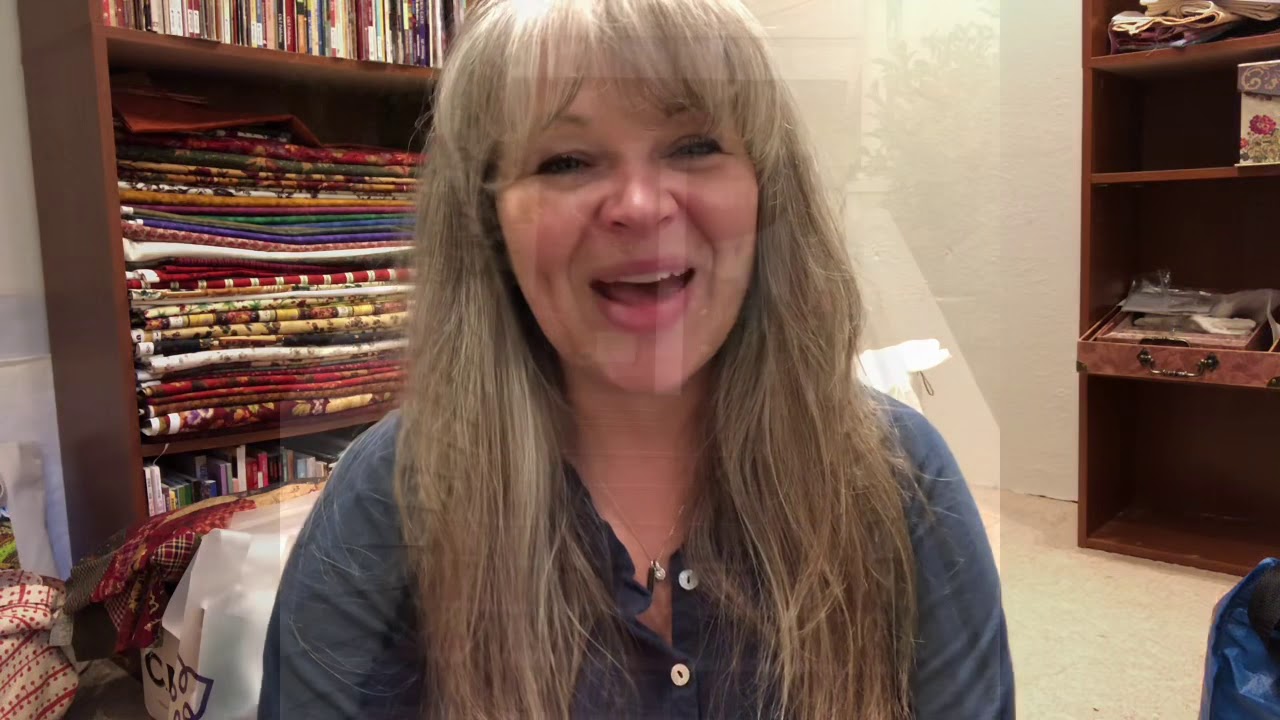 Flosstube 9 Quick Update, Quilt Shop Tour, Bacon Stitchy Weekend