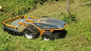 Test tondeuse électrique Raymo