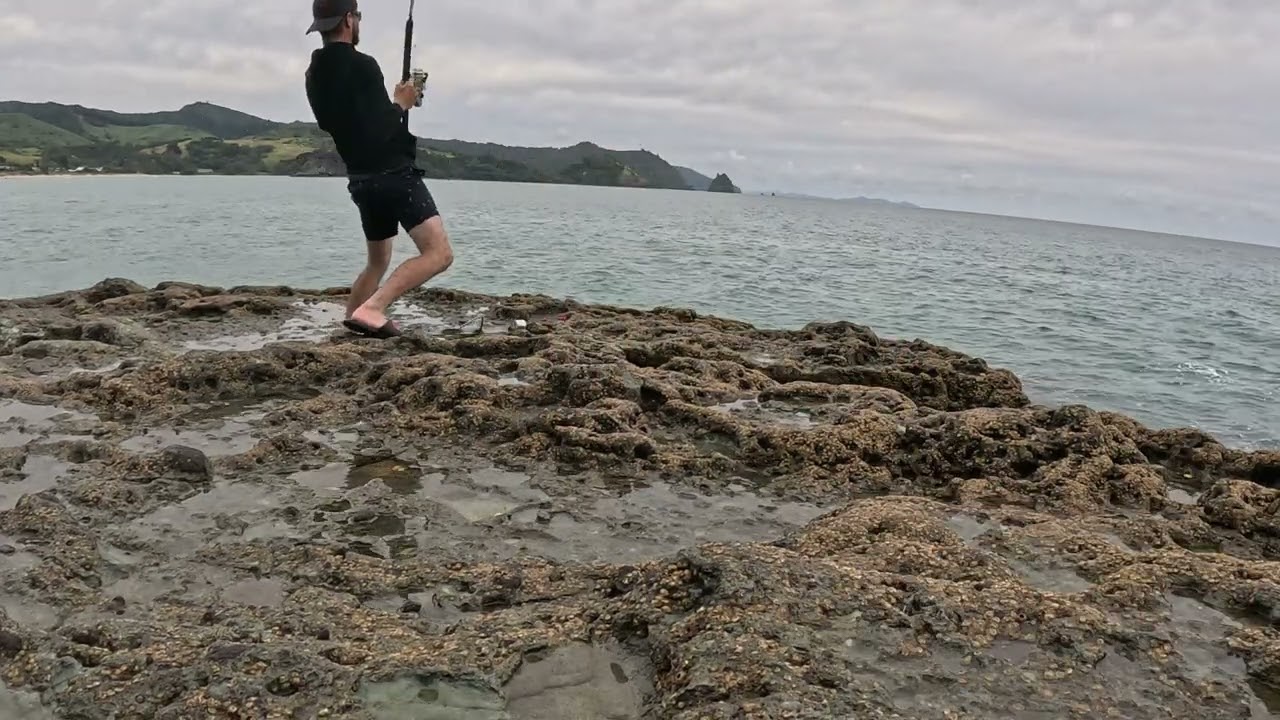 Rock Fishing Kahawai