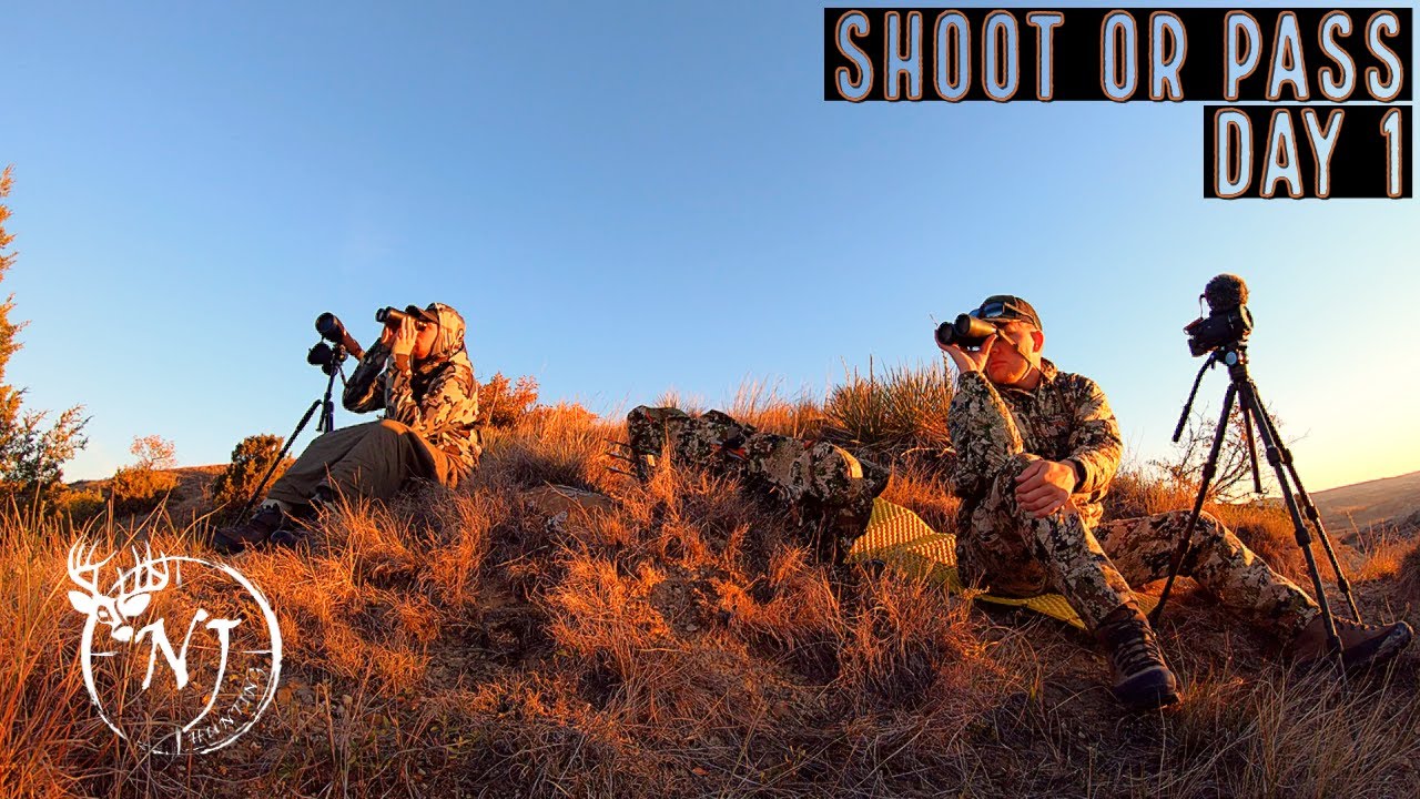 2021 North Dakota Archery Mule Deer (Day 1 "Shoot or Pass") YouTube