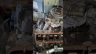 Yeni Alınmış Temiz Şahin Se Ilgi, Ağır Bakım Ve En Önemlisi Kutsal Ayarlar