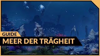 Meer der Trägheit deutsch | Abyss Dungeon Guide | Lost Ark