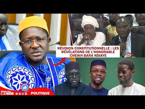 Révision constitutionnelle menace de l’opposition : La réaction ferme de Cheikh Bara Ndiaye