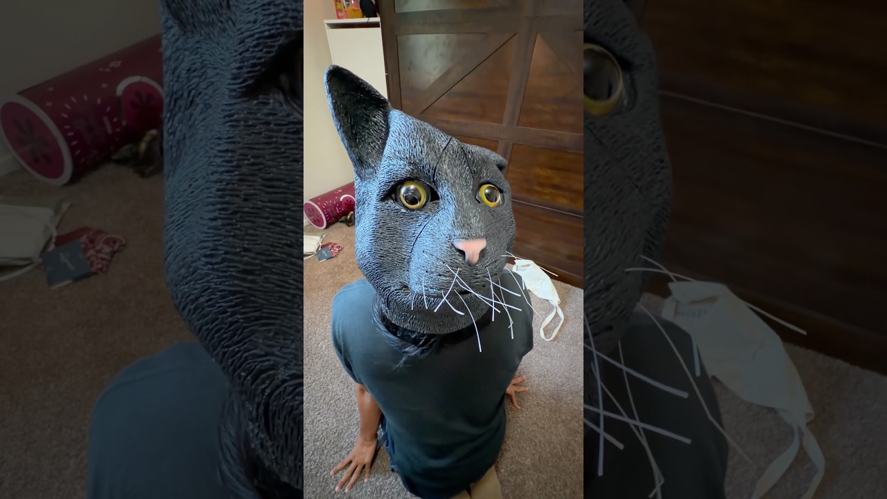 Bro Got His Cat From Temu