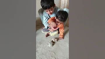 زکریا محمدی 