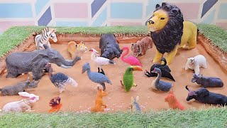 Giants Of The Jungle A Legendary Voyage Into The World Of Forest Animals & Birds