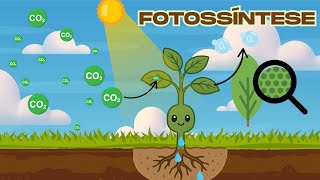 Fotossíntese - Ciência Simplificada para Crianças 