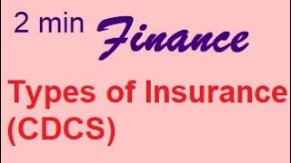 2 Min Finance Cdcs Types Of Insurance Docs