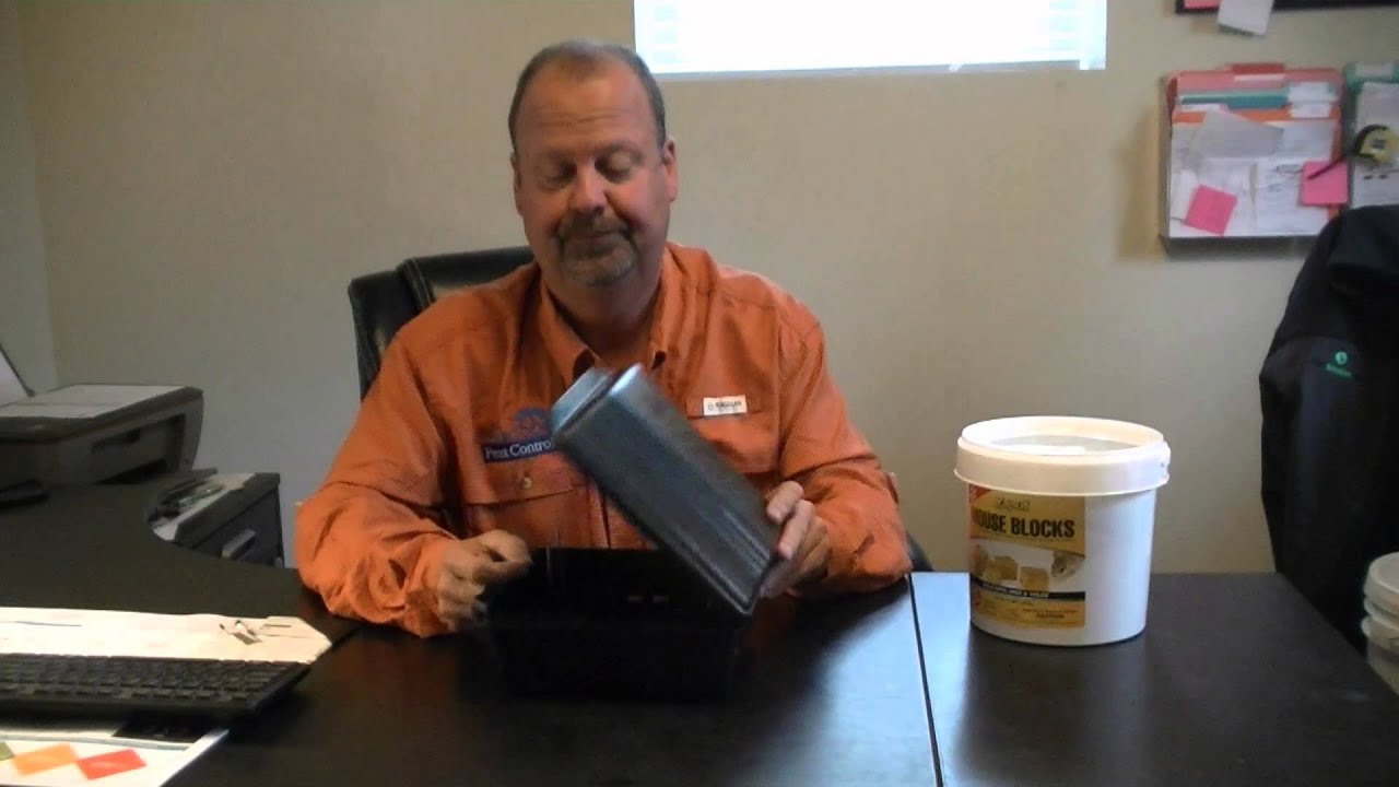 Kaput Rat Mice Vole Blocks ePestSolutions.com