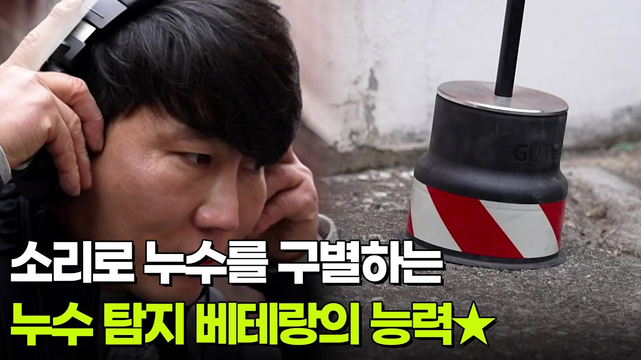 [직업의 세계] 소리로 누수를 구별하는 누수 탐지 베테랑의 능력★ [생방송 굿모닝 대한민국] | KBS 260219 방송