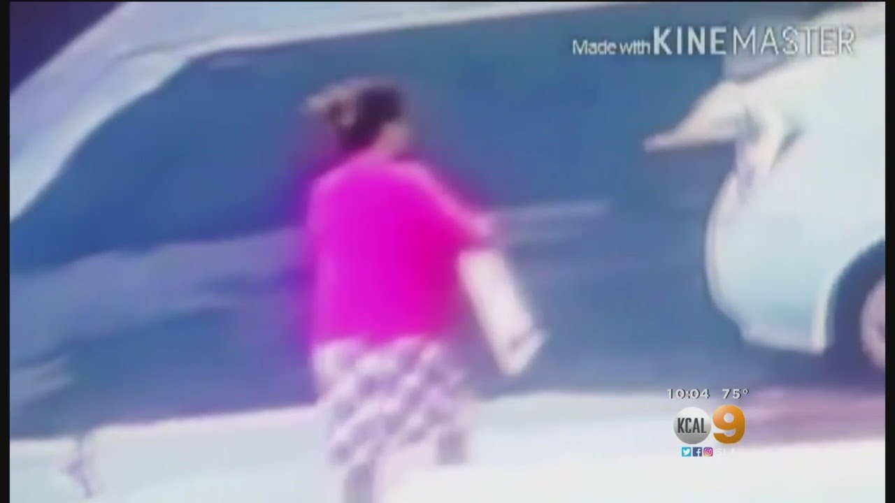 Napolitano Campaign Signs Disappearing