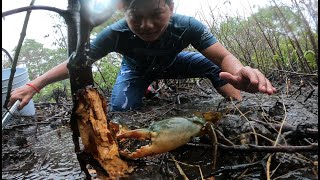 Catching Mud Crab While Storming | Finding Giant Mud Crab In Monsoon season