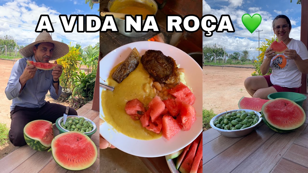 A Vida na Roça é Assim 🌻 Colheita, Fogão de Lenha e Comida de Verdade!