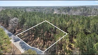 121 W Grandiflora Drive video tour