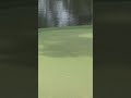 Viktor Hovland makes a hole-in-one on No. 6, the fifth ace today on the Par 3 course. #themasters