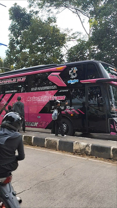 BASURI HALO HALO BANDUNG‼️ #bus #busmania #buspariwisata #basuri #busbasuri #telolet #basurimania