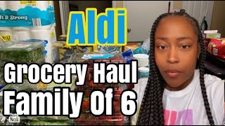 HUGE ALDI GROCERY HAUL ON EBT FOOD STAMPS| IS IT ENOUGH FOR A FAMILY OF 6