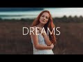 Gryffin Dreams Lyrics mp3