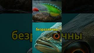 Оружие против пустых поклёвок #спиннинг #fishing #рыболовныесекреты #приманки #рыбалка