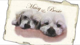 Enchanted Empire - Portrait Of Thanks